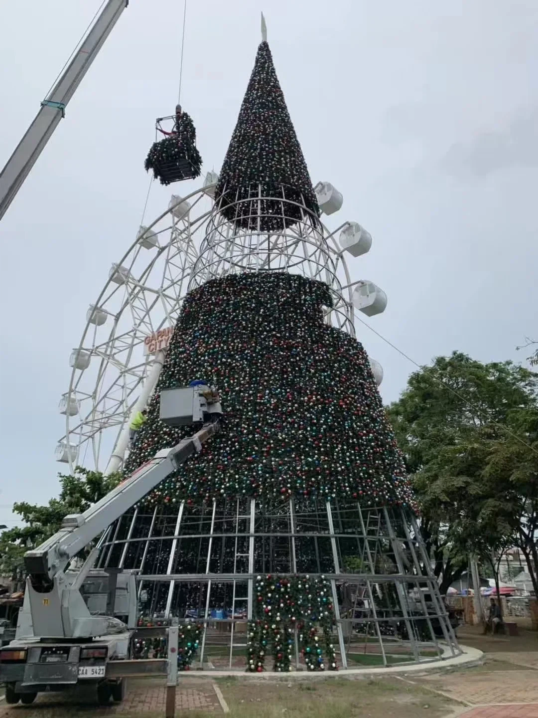 Rockfeller markazi Rojdestvo daraxti